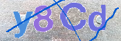 CAPTCHA (Şahıs Denetim Kodu) Resmi