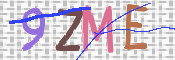 CAPTCHA (Şahıs Denetim Kodu) Resmi