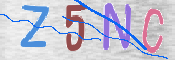 CAPTCHA (Şahıs Denetim Kodu) Resmi