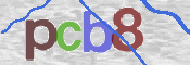 CAPTCHA (Şahıs Denetim Kodu) Resmi