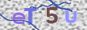 CAPTCHA (Şahıs Denetim Kodu) Resmi