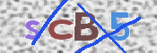 CAPTCHA (Şahıs Denetim Kodu) Resmi