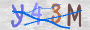 CAPTCHA (Şahıs Denetim Kodu) Resmi