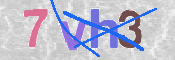 CAPTCHA (Şahıs Denetim Kodu) Resmi
