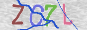 CAPTCHA (Şahıs Denetim Kodu) Resmi