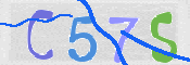 CAPTCHA (Şahıs Denetim Kodu) Resmi