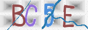 CAPTCHA (Şahıs Denetim Kodu) Resmi