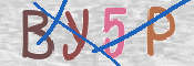 CAPTCHA (Şahıs Denetim Kodu) Resmi