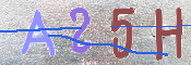 CAPTCHA (Şahıs Denetim Kodu) Resmi
