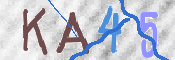 CAPTCHA (Şahıs Denetim Kodu) Resmi