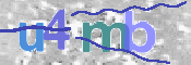 CAPTCHA (Şahıs Denetim Kodu) Resmi