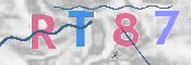 CAPTCHA (Şahıs Denetim Kodu) Resmi