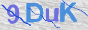 CAPTCHA (Şahıs Denetim Kodu) Resmi