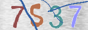 CAPTCHA (Şahıs Denetim Kodu) Resmi