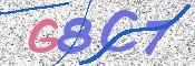 CAPTCHA (Şahıs Denetim Kodu) Resmi