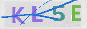 CAPTCHA (Şahıs Denetim Kodu) Resmi