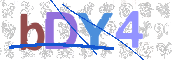 CAPTCHA (Şahıs Denetim Kodu) Resmi