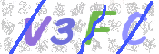 CAPTCHA (Şahıs Denetim Kodu) Resmi