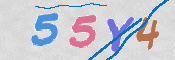 CAPTCHA (Şahıs Denetim Kodu) Resmi