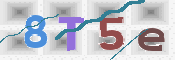 CAPTCHA (Şahıs Denetim Kodu) Resmi