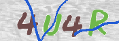 CAPTCHA (Şahıs Denetim Kodu) Resmi