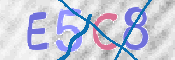 CAPTCHA (Şahıs Denetim Kodu) Resmi