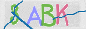 CAPTCHA (Şahıs Denetim Kodu) Resmi