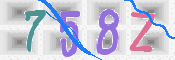 CAPTCHA (Şahıs Denetim Kodu) Resmi