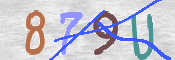 CAPTCHA (Şahıs Denetim Kodu) Resmi