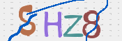 CAPTCHA (Şahıs Denetim Kodu) Resmi