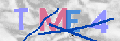 CAPTCHA (Şahıs Denetim Kodu) Resmi