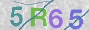 CAPTCHA (Şahıs Denetim Kodu) Resmi