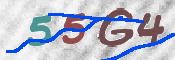 CAPTCHA (Şahıs Denetim Kodu) Resmi