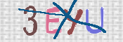 CAPTCHA (Şahıs Denetim Kodu) Resmi