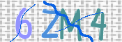 CAPTCHA (Şahıs Denetim Kodu) Resmi