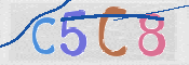 CAPTCHA (Şahıs Denetim Kodu) Resmi