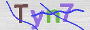 CAPTCHA (Şahıs Denetim Kodu) Resmi