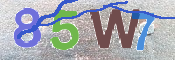 CAPTCHA (Şahıs Denetim Kodu) Resmi