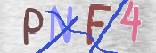 CAPTCHA (Şahıs Denetim Kodu) Resmi