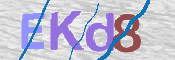 CAPTCHA (Şahıs Denetim Kodu) Resmi