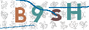 CAPTCHA (Şahıs Denetim Kodu) Resmi