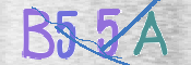 CAPTCHA (Şahıs Denetim Kodu) Resmi