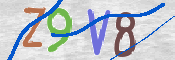 CAPTCHA (Şahıs Denetim Kodu) Resmi