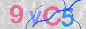 CAPTCHA (Şahıs Denetim Kodu) Resmi