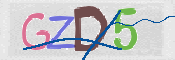 CAPTCHA (Şahıs Denetim Kodu) Resmi