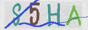 CAPTCHA (Şahıs Denetim Kodu) Resmi