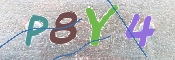 CAPTCHA (Şahıs Denetim Kodu) Resmi