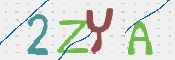 CAPTCHA (Şahıs Denetim Kodu) Resmi