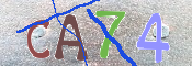 CAPTCHA (Şahıs Denetim Kodu) Resmi