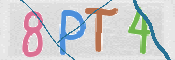 CAPTCHA (Şahıs Denetim Kodu) Resmi